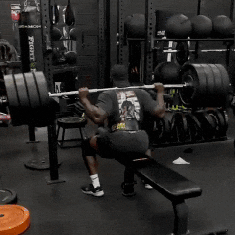 SeonHolmes 100 strong holmes elite seon holmes holmes elite health and fitness GIF