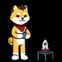 To The Moon Dog GIF by Dogelon Mars