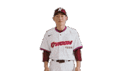 Kbo Sticker by Kiwoom Heroes Baseball Club