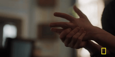 genius picasso GIF by National Geographic Channel