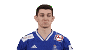 France Hand Sticker by EHF