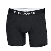 Spain Underwear Sticker by C.O.JONES