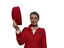 Heart Love Sticker by Austrian Airlines