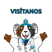 MarketingMedicalAudicion peru cuy visitanos orejitas Sticker