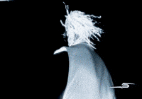 Turn Up Party GIF by DC THE DON