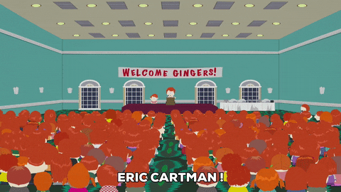 eric cartman hair GIF by South Park 