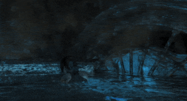 has tomb raider GIF