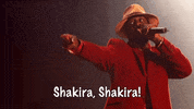 Hips Dont Lie GIF by Shakira