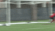 celebration burns GIF by Carson-Newman Athletics