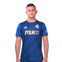 Football Soccer Sticker by GNK Dinamo