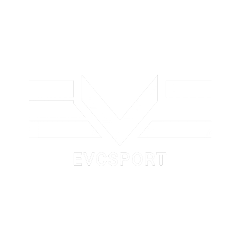 Racing Tuning Sticker by Seletron Performance