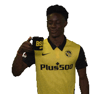 Tee Teatime Sticker by BSC Young Boys