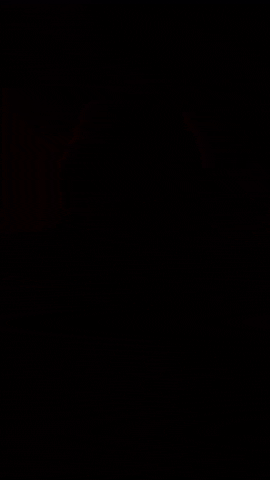 Celiin music horror red artist GIF