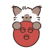 Cats Ok Sticker by koimoffee
