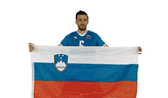 Mitja Gasparini Flag Sticker by Generali.si