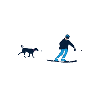 animaladoptioncenterjh ski aac Sticker