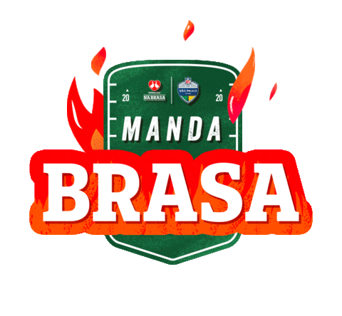 Nfl Futebol Americano Sticker by Perdigão