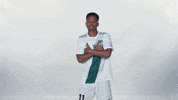 Huntington University Hu GIF by FDN Sports