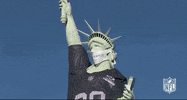 National Football Association GIF by NFL