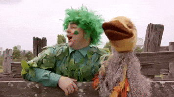 Right GIF by The Wiggles