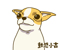 Animation Dog GIF