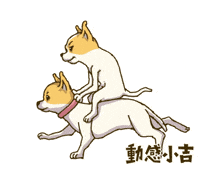 Animation Dog GIF