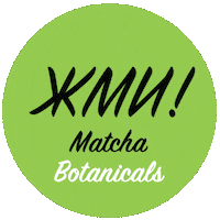 Matcha Тяни Вверх Sticker by matchabotanicals