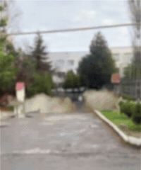 320 GIF