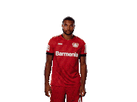 Bayer 04 Hello Sticker by Bayer 04 Leverkusen