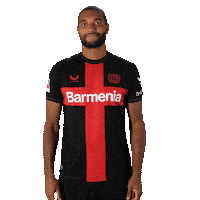 Bayer 04 Football Sticker by Bayer 04 Leverkusen