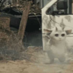 chilean-banditoss giphygifmaker happy run jump GIF