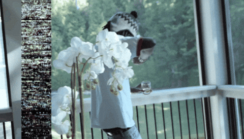 Diorvsyou GIF by STRAPPED!