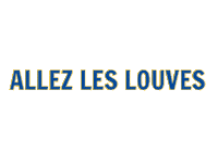 SaintAmandHandball lameute sahph saintamandhandball leslouves Sticker