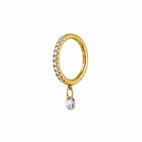 aristocrazy  GIF