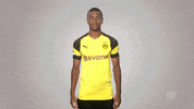 borussia dortmund football GIF by Bundesliga