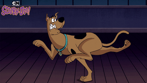 Scooby Doo Running GIF by Cartoon Network
