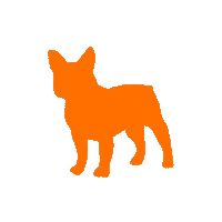 Dog Orange Sticker by Rogue Creatives