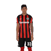 Oh No Facepalm Sticker by Bayer 04 Leverkusen