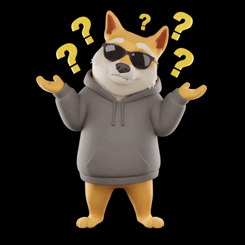 Shiba Inu What GIF by Doge Pound