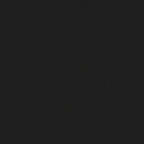 Maxisrun2025 GIF by Maxis