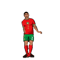 World Cup Football Sticker by Panini America