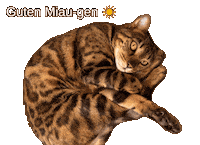 Good Morning Cat Sticker by Kitty Fuchs