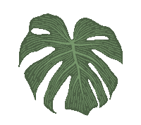 Plant Sticker