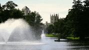 canoe niu GIF by Northern Illinois University