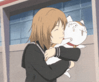 Cat Taki GIF