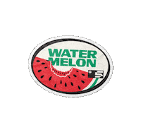 Watermelon Challenge Sticker by everfit.io