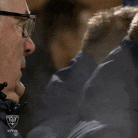 GIF by VVV-Venlo