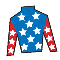 Horse Racing Silks Sticker by Kentucky Derby
