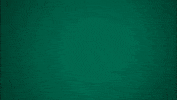 GIF by Ohio Bobcats