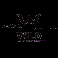 wildgymstudio workout gym crossfit wild GIF